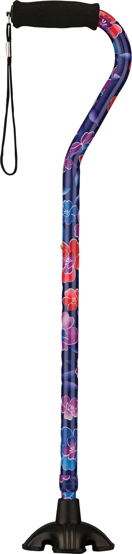 Sugar Cane - Image 6