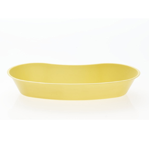 Plastic Emesis Basin