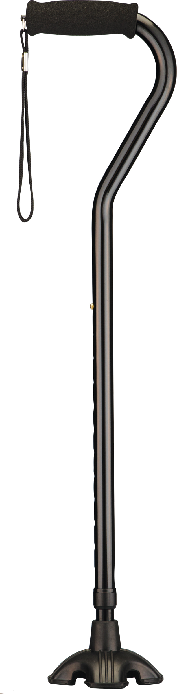 Sugar Cane - Image 11